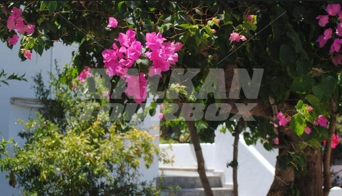 почивка в Apollonia Hotel Apartments