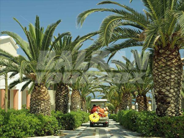 holiday in Aldemar Knossos Royal