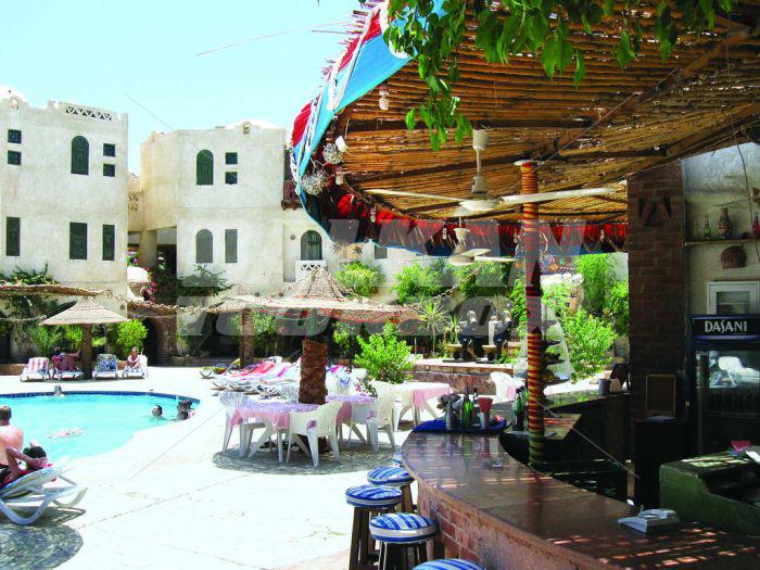 holiday in AMR Sinai