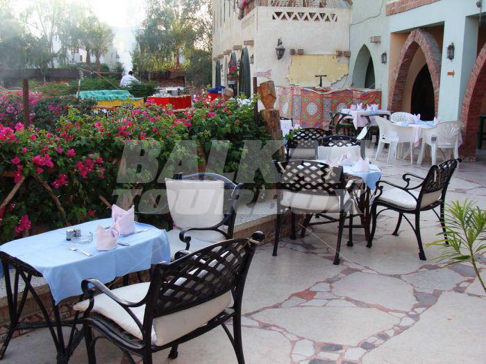 holiday in AMR Sinai