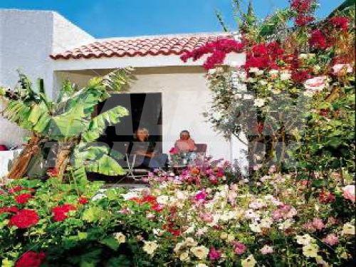 holiday in Oasis Hotel Bungalows