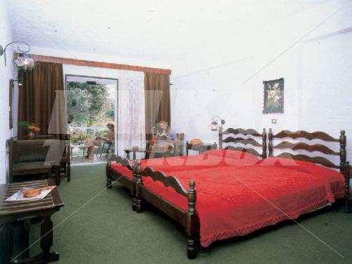 holiday in Oasis Hotel Bungalows