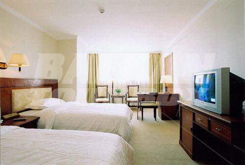 holiday in Canaan International
