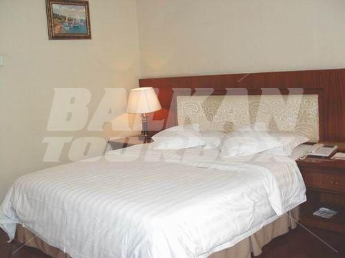 holiday in Canaan International