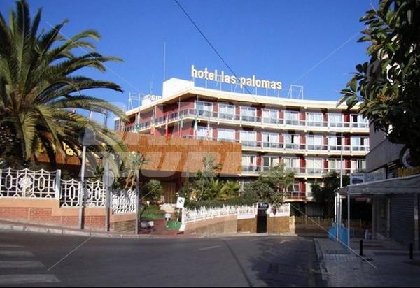 holiday in Las Palomas