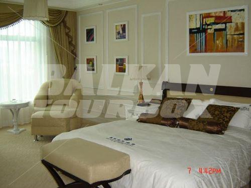 holiday in Palace International