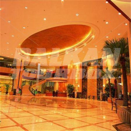 holiday in Palace International