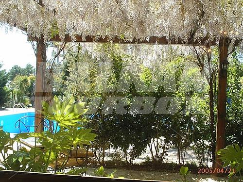 holiday in Vila Belvedere