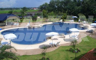 holiday in Cosmo
