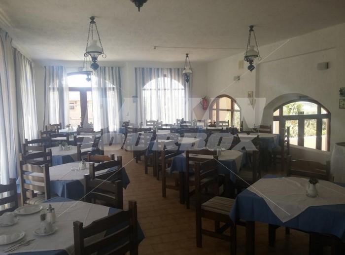 holiday in Dimitra