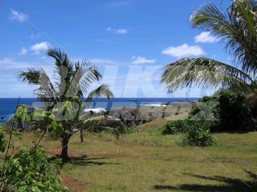 holiday in Iorana