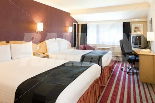 holiday in Leaf Hotel Dover