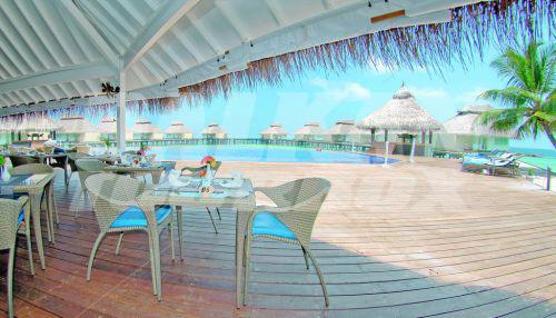 почивка в Chaaya Reef Ellaidhoo