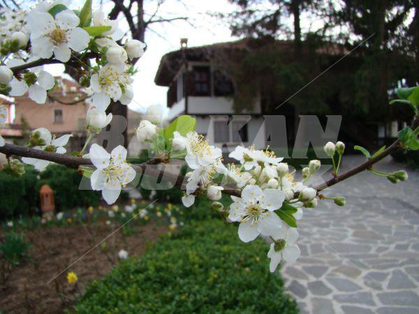 holiday in Djudjeva Kyshta Family Hotel