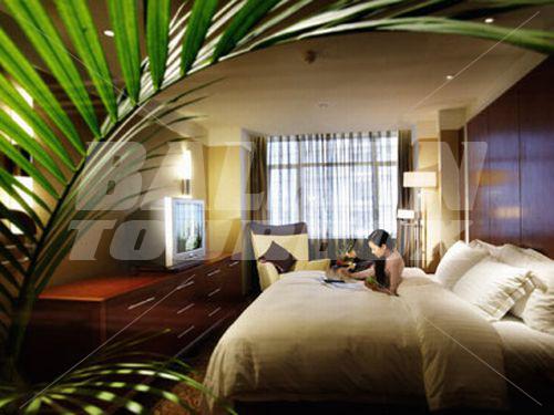 holiday in Intercontinental