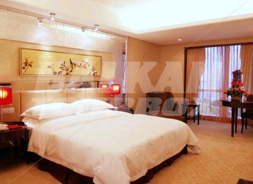 holiday in Intercontinental