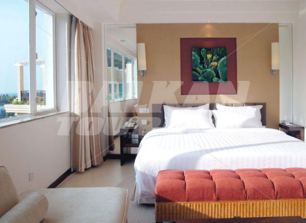 holiday in Cactus Resort