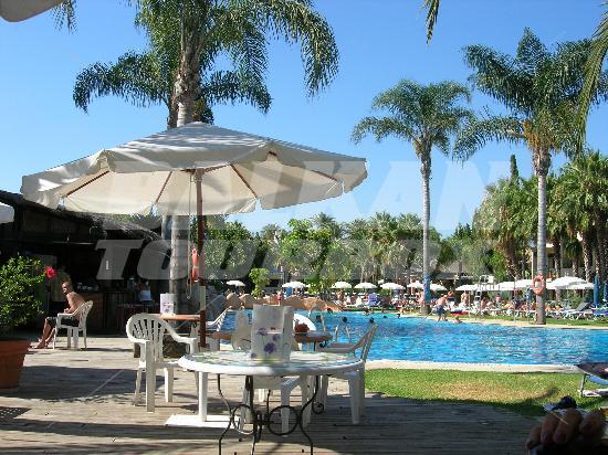 holiday in Rincon Andaluz