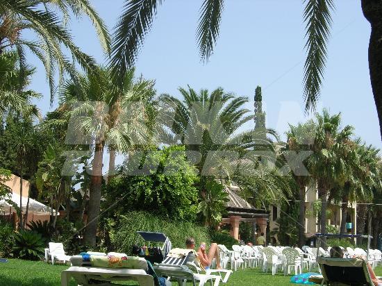holiday in Rincon Andaluz