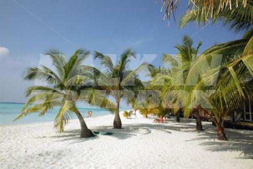 почивка в Kuredu Island Resort