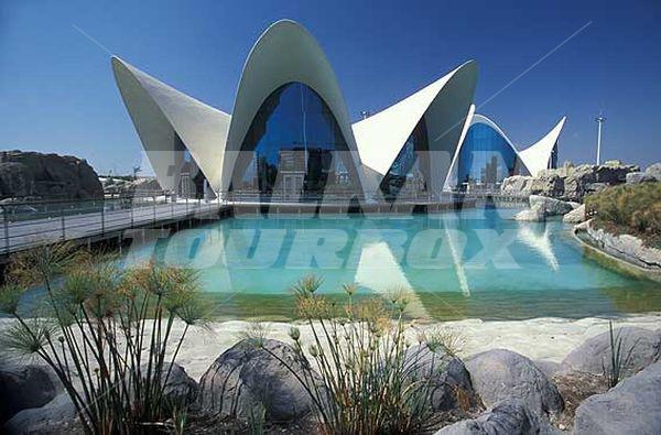 holiday in Holiday Village Marina D'Оr
