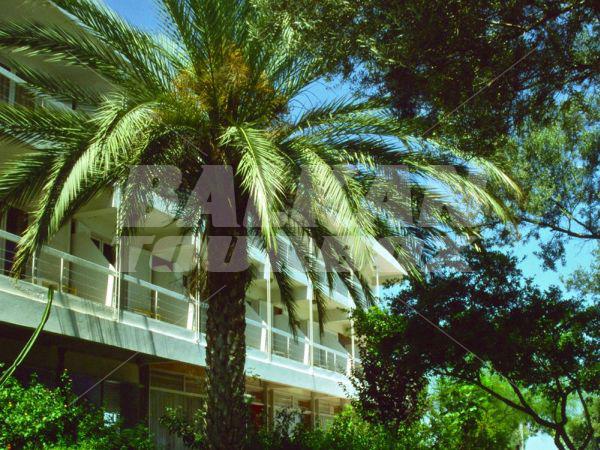 holiday in  Marathon Beach Resort