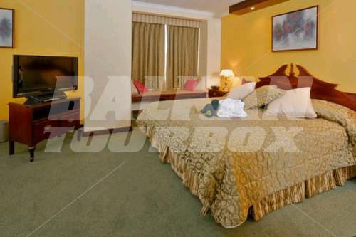holiday in Ritz Apart