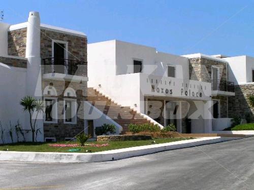 holiday in Naxos Palace