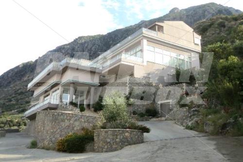 holiday in Belvedere