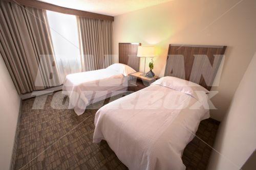 holiday in International Hotel Suites