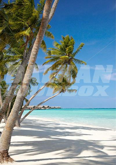 почивка в  Shangri La Villingili