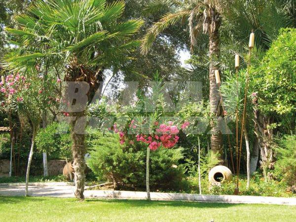 почивка в Sentido Marina Suites