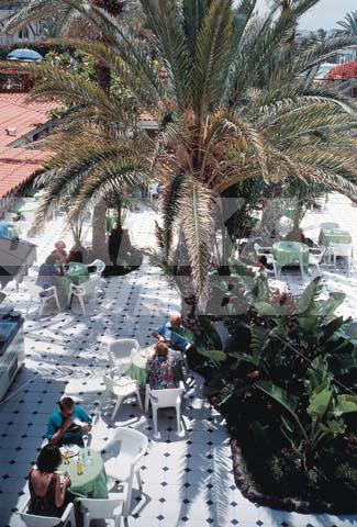 holiday in Sol Elite Tenerife