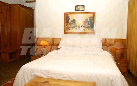 holiday in Country Villa