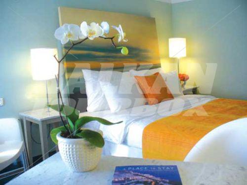 holiday in Prima Tel Aviv