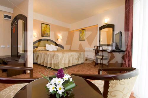 holiday in Ambient Brasov