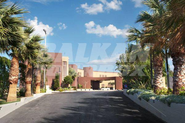 holiday in Blue Bay Resort and Spa