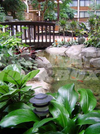 почивка в Seattle Airport Marriott