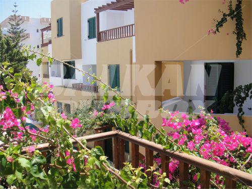 holiday in Elmi Suites