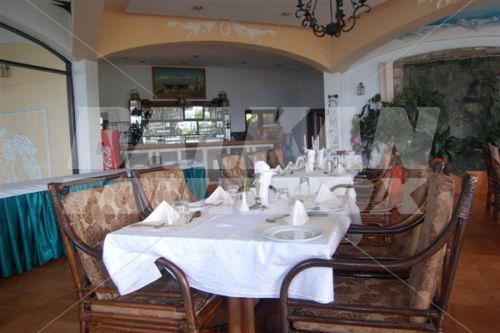 holiday in Mirabelle