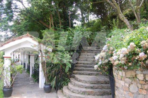 holiday in Mirabelle