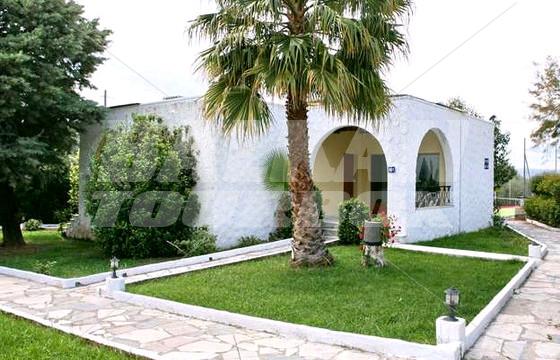 holiday in Silver Bay Hotel and Bungalows