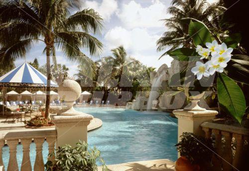 почивка в Doral Golf Resort & Spa A Marriott Resort