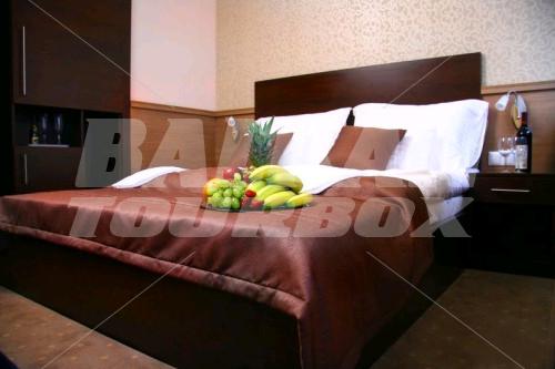 holiday in Central Hotel 21