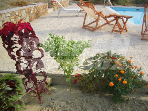 holiday in Athos Bay Villa
