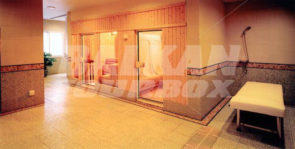 holiday in Aurum International