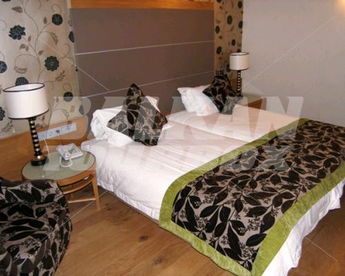 holiday in Divani Meteora