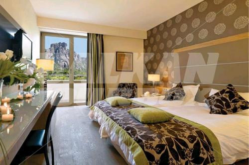 holiday in Divani Meteora