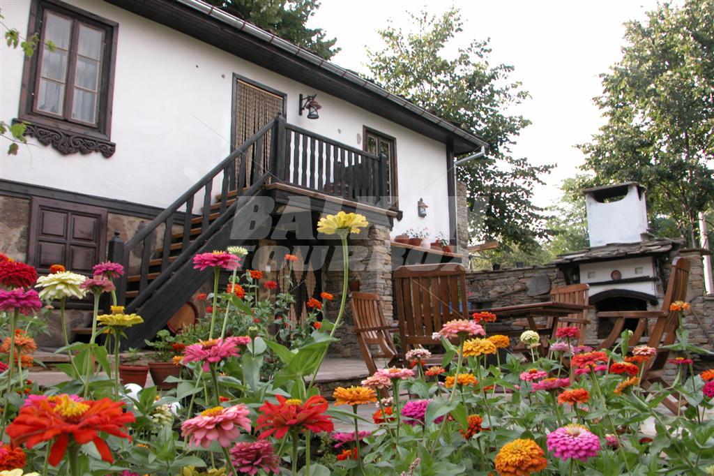 holiday in Ambrelas House
