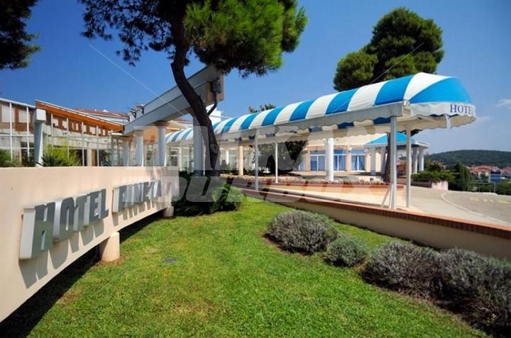 holiday in Pineta